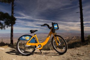 The Bikes
